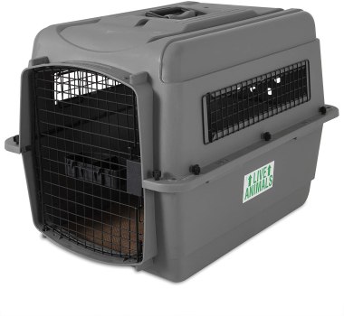 Price mistake! 28 Inch Petmate Sky Kennel Pet Carrier