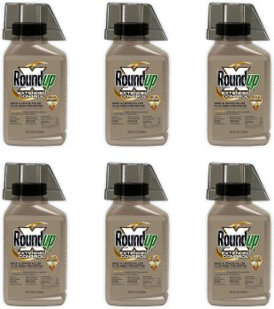 Roundup Concentrate Extended Control Weed & Grass Killer Plus Weed Preventer, 32 fl. oz. (6-Pack)