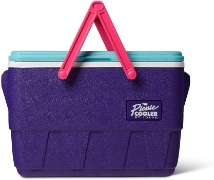 Igloo Special Edition 25 Quart Full Sized Picnic Basket Hard Side Insulated Cooler with Molded in Side Handles