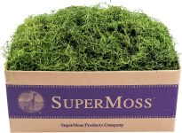 SuperMoss (26927) Spanish Moss Preserved, Grass, 3lbs For $14