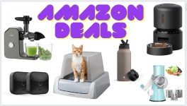 Save Hundreds of $$ This Week With These Deals!