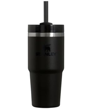 Stanley Quencher H2.0 FlowState Stainless Steel Vacuum Insulated 14oz Tumbler With Lid And Straw For $20 From Amazon