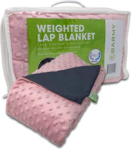BARMY Weighted Lap Pad for Kids (24”x24”, 5lbs, 7 Colors) Weighted Lap Blanket with Removable, Washable Cover, Sensory Lap Pad for Child, Teen, Dogs, 100% Cotton Inner Weighted Blanket