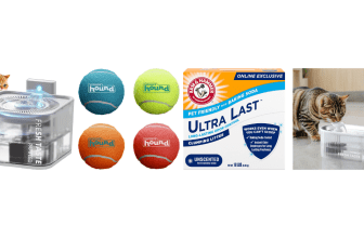 Best Amazon Pet Deals You Won’t Want to Miss