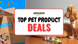 Top Pet Product Deals