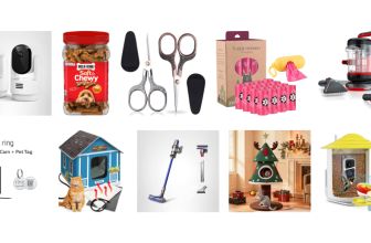 Today’s Best Amazon Pet Deals You Can Shop Right Now