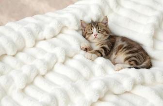 Bedsure GentleSoft White Throw Blanket: 56% Off Amazon Deal Review