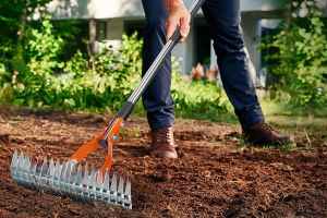 Deal Alert: Is the Thatch Lawn Rake Worth It? 55% Off Amazon Deal