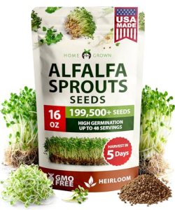 HOME GROWN Non GMO Alfalfa Sprout Seeds 16oz Bulk Pack with Thousands of Seeds A