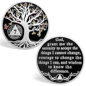 7 Year Sobriety Chips, Butterfly Tree of Life AA Coins Serenity Prayer Sobriety