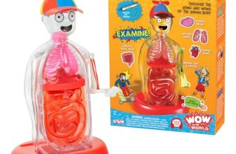 Wow in The World The Amazing Human Body Kit by Thames & Kosmos