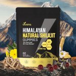 Himalayan9 Shilajit Gummies with Ashwagandha & Gokshura