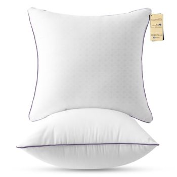 JOLLYVOGUE Euro Size Pillows Set of 2