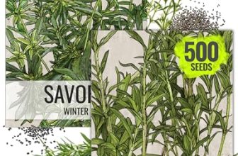 Seed Needs Savory Seeds for Planting Summer & Winter Savory Herbs