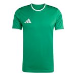 adidas Men’s Entrada26 Jersey Men, Team Green/White, X-Large