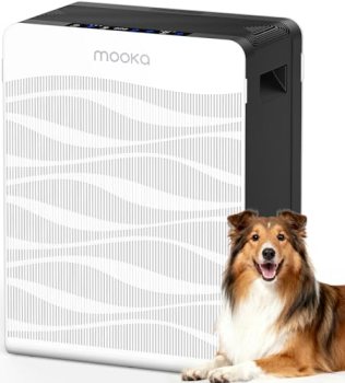 Air Purifier for Home Large Room 2800 Ft²