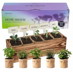 5 Herb Garden Kit with Wooden Box – Including Basil