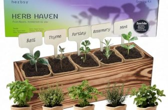 5 Herb Garden Kit with Wooden Box – Including Basil