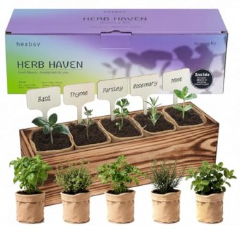 5 Herb Garden Kit with Wooden Box – Including Basil