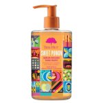 Tree Hut Sweet Punkin Serum Infused Hand Wash