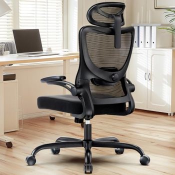 HUANUO Ergonomic Office Chair, High Back Computer Desk Chair with Adjustable Lum