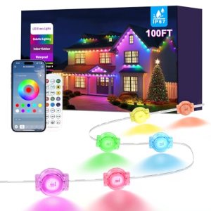 100FT Permanent Outdoor Lights for House