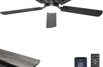 Ohniyou Ceiling Fans with Lights