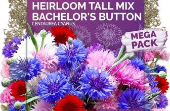KVITER 800 Mix Bachelor Button Seeds (Centaurea cyanus) – Cornflower Seed Mix