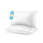 HEYCUZI Queen Size Bed Pillows Set of 2