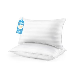 HEYCUZI Queen Size Bed Pillows Set of 2