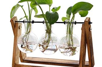 XXXFLOWER Plant Terrarium with Wooden Stand