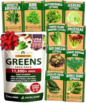 HOME GROWN 11,500+ Heirloom Lettuce Seeds – 10 Varieties Including Romaine