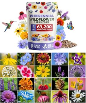 HOME GROWN Wildflower Seeds Bulk 4 oz 63