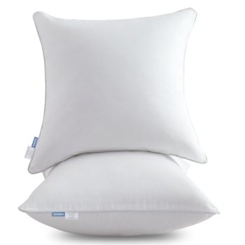 Leeden 18×18 Pillow Inserts Set of 2