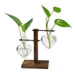 XXXFLOWER Plant Terrarium Wooden Stand