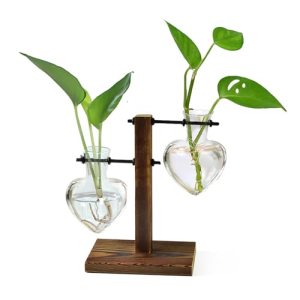 XXXFLOWER Plant Terrarium Wooden Stand
