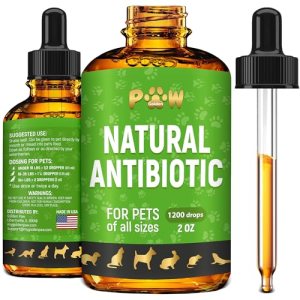 Dog Antibiotics for Infection, Coughs