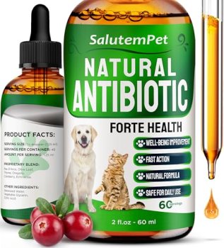 Natural Antibiotics for Dogs to Help with Allergies and UTIs