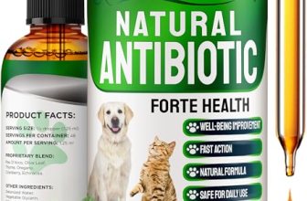 Natural Antibiotics for Dogs to Help with Allergies and UTIs