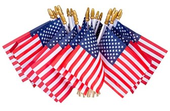 HOOSUN 12 Pcs Small American Flags On Stick