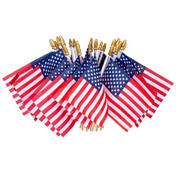 HOOSUN 12 Pcs Small American Flags On Stick