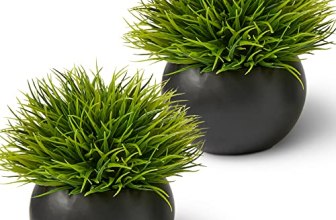 Fake Succulents Plants Artificial in Premium Ceramic Pots (2 Pack Round) Realist