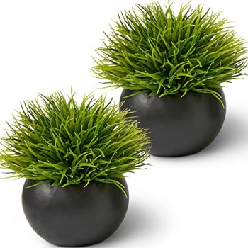 Fake Succulents Plants Artificial in Premium Ceramic Pots (2 Pack Round) Realist