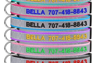 Reflective Personalized Dog Collars