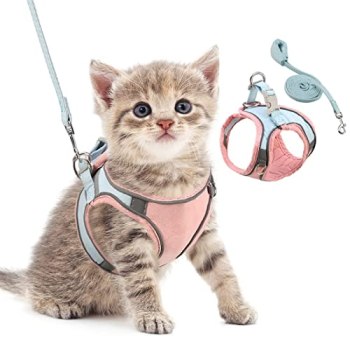 ORIA Pet Harness, Dog Harness, Cat Harness and Leash Set