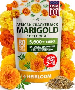 HOME GROWN Marigold Seeds Bulk Mix