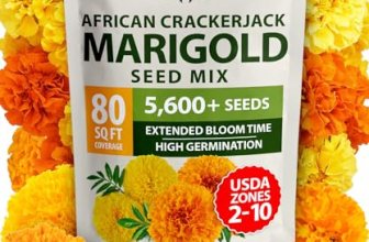 HOME GROWN Marigold Seeds Bulk Mix