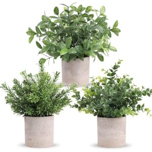 Der Rose 3 Pack Mini Potted Fake Plants Artificial Plastic Eucalyptus Plants Top