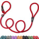 TwoEar 6FT Slip Lead Dog Leash, Heavy Duty Slip Leash for Dogs with Highly Refle