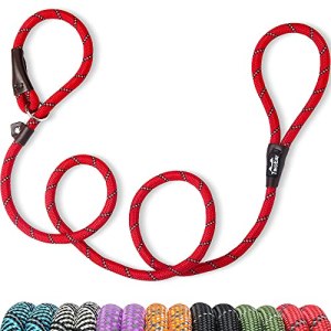 TwoEar 6FT Slip Lead Dog Leash, Heavy Duty Slip Leash for Dogs with Highly Refle